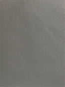 Luke 12305 Faux Leather Barrow Fabric